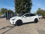 Tesla Model X 100D - - Tesla Model X von privat