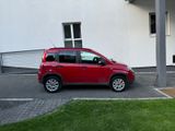 Fiat Panda Cross 4X4  1,3M-JET Klima  EXPORT - Fiat Panda mit Diesel-Antrieb