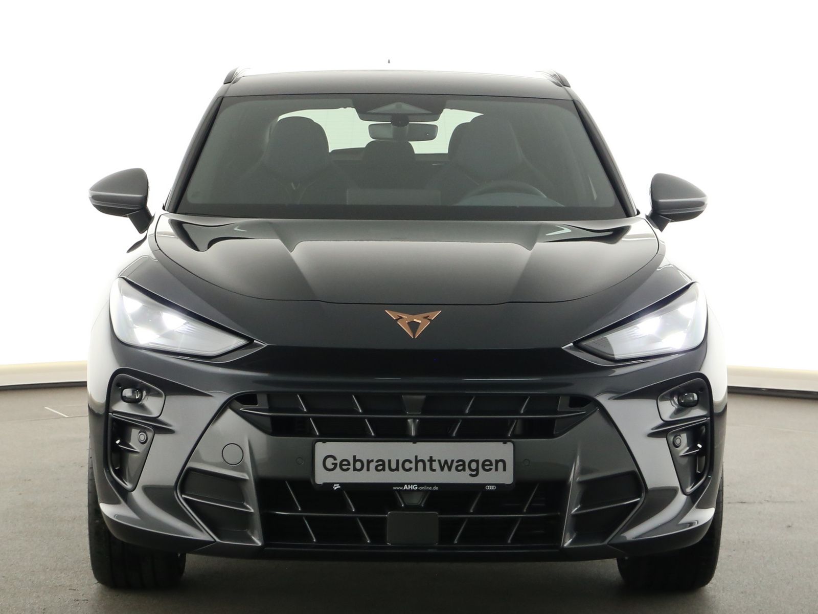 Cupra Terramar - Bild 3
