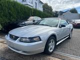 Ford Mustang Cabrio - Ford Mustang aus 2005: Cabrio