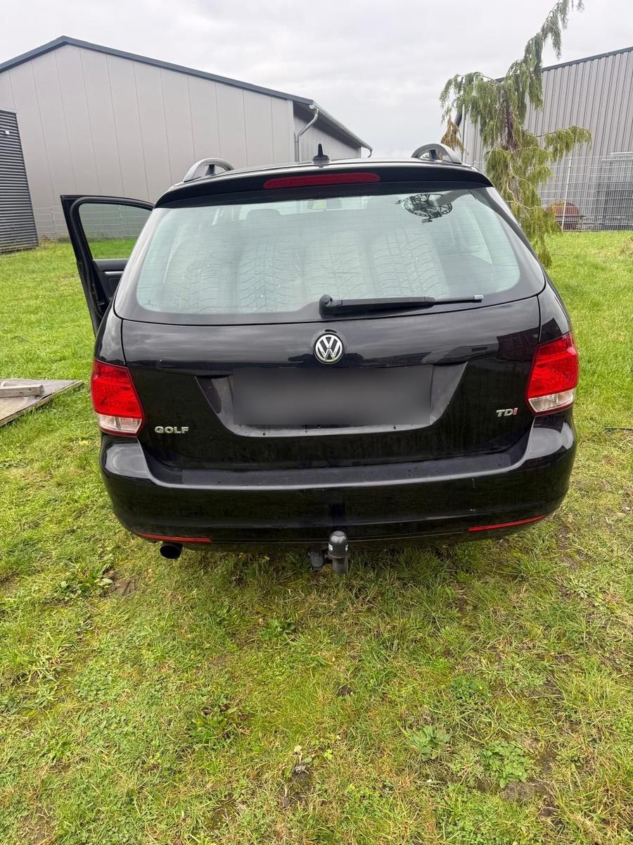 Volkswagen Golf 2012 — rear view