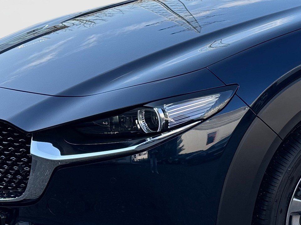 Fahrzeugabbildung Mazda CX-30 X 2.0i 186PS A/T AWD Takumi BLOP