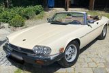 Jaguar XJ-S Cabriolet - Jaguar XJSC Gebrauchtwagen