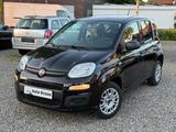 Fiat Panda 1.2 Easy Klima 2.Hand TOP Scheckheft Euro6 - gebrauchte Fiat Panda aus dem Jahr 2019