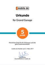 Ford Grand Tourneo Connect Titanium  7 SITZE - Ford Grand Tourneo aus 2015