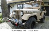 Jeep Willys M38A-1 (CJ5) NEUER MOTOR*TÜV NEU*H-KENNZ* - Jeep: Motor