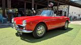 Alfa Romeo Giulietta Spider 1300 - 1961 - Alfa Romeo Giulietta: Cabrio