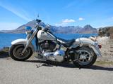 Harley-Davidson FLSTFI Softail Fat Boy - HARLEY-DAVIDSON 2001 SOFTAIL