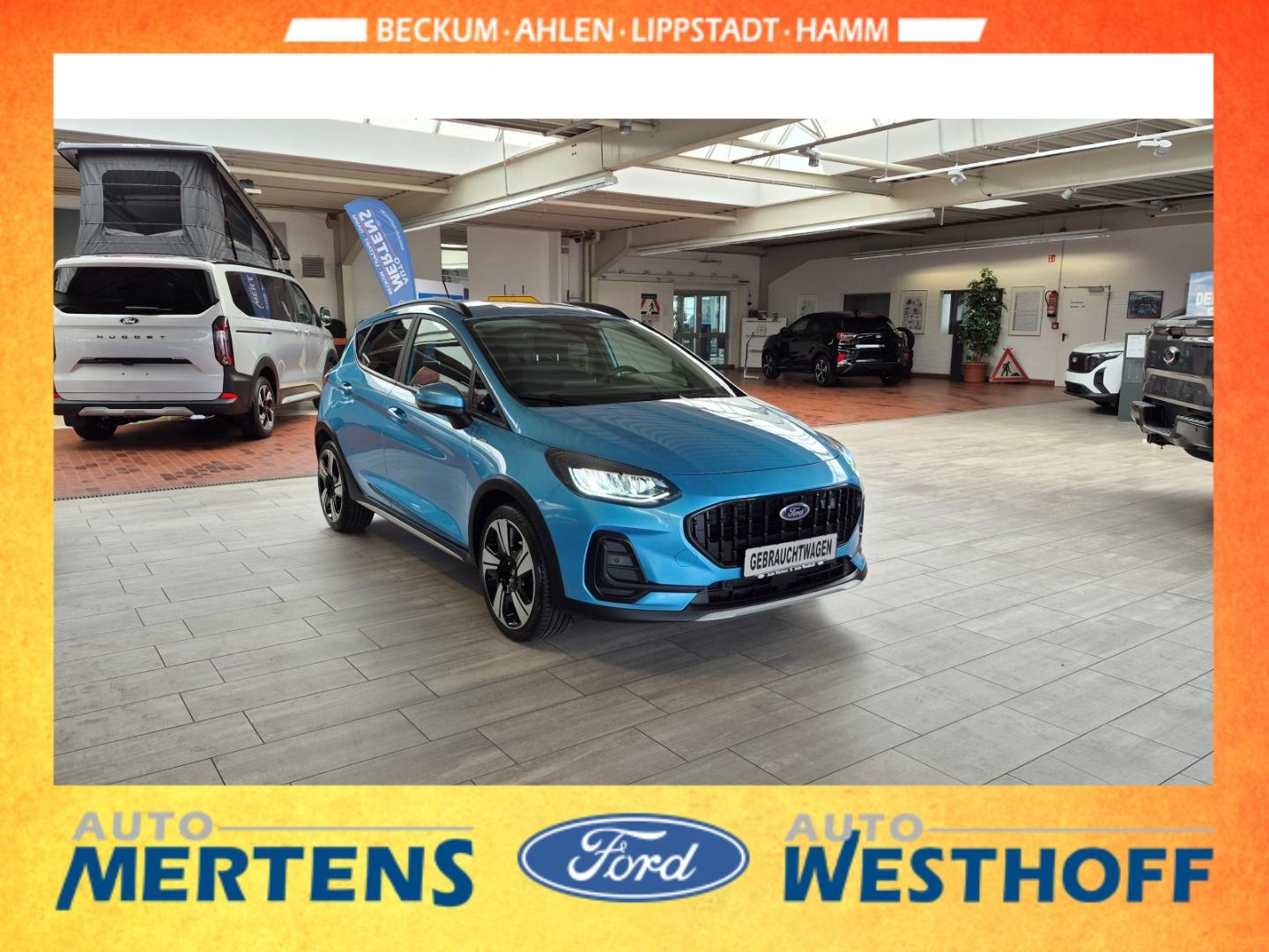 Ford Fiesta Active Kamera LED Navi Winterpaket