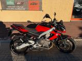 Aprilia Tuono 457 piranha red inkl. Quickshifter - APRILIA VON 251 BIS 500 CCM