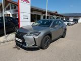Lexus UX200 Launch Edition Automatik *LED,Navi,Kamera* - Lexus mit Benzin-Antrieb