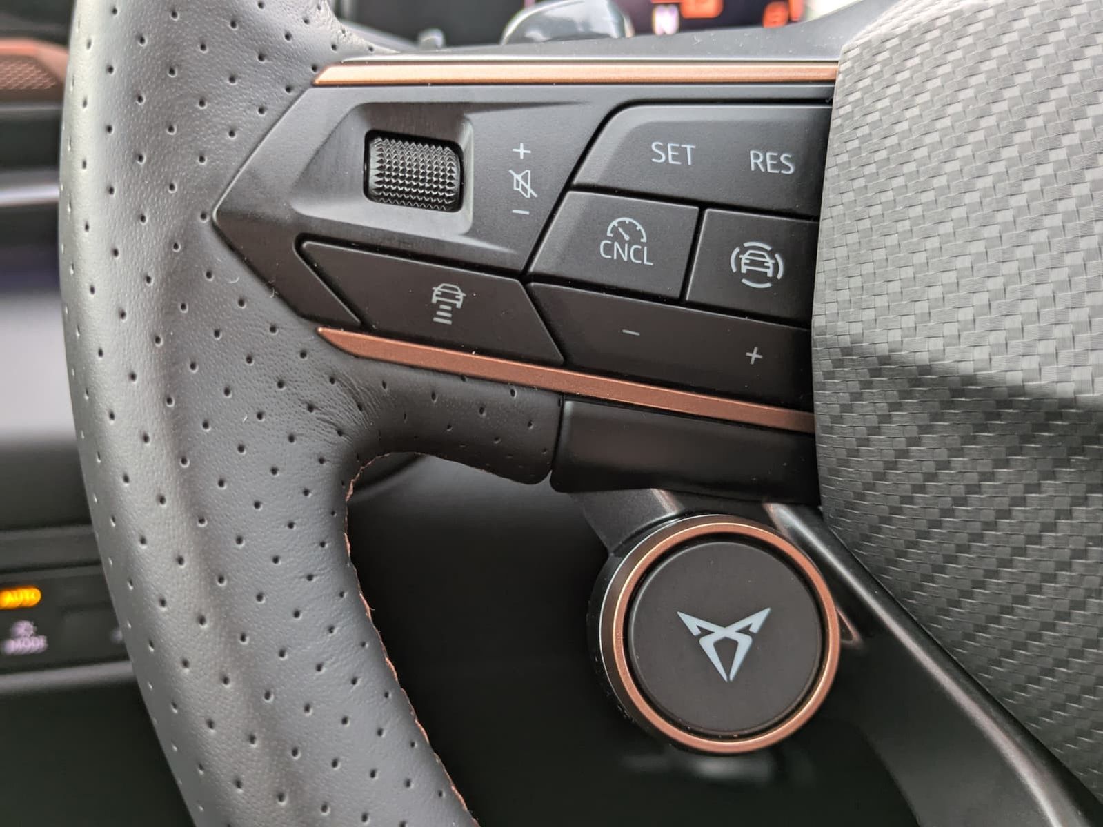 Fahrzeugabbildung CUPRA Terramar 2.0 TSI 4D VZ HUD*MATRIX*PANO*DCC*20"