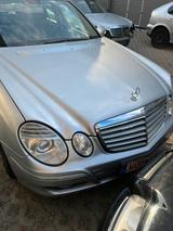 Mercedes-Benz Wolfsburg Wolfsburg - : Wolf