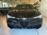 Alfa Romeo Stelvio 2.2 Diesel 16V INTENSA - Alfa Romeo Gebrauchtwagen in Dresden