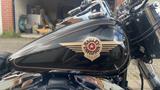 Harley-Davidson FLSTC, HERITAGE, EVO, AMC TÖPFE, TOP ZUSTAND - Offers