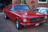 Ford Mustang 302 - V8-5 Liter, TÜV neu, Geschaltet. H - Ford Mustang: 302