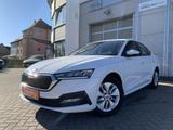 Skoda Octavia 1.5TSI Amb. Winterpaket+digit.Display