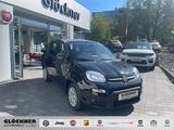 Fiat Panda Hybrid - Fiat Panda mit Hybrid-Antrieb