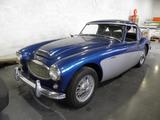 Austin Healey 3000 MK2 - Austin Healey