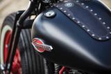 Harley-Davidson Springer Bobber Umbau Custom Softail - HARLEY-DAVIDSON 2002 SOFTAIL