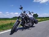 Harley-Davidson Dyna Street Bob - HARLEY-DAVIDSON 2012 STREET BOB