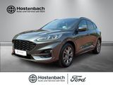 Ford Kuga Hybrid ST-Line X 150PS ACC HUD Navi Soundsy - Ford mit Diesel-Antrieb: 150