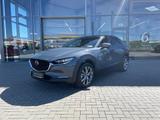 Mazda CX-30 2.5 (140PS) Schalter Exclsuive-Line 360* N - Mazda CX-30 Tageszulassungen