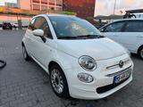 Fiat 500 1.2 8V LOUNGE - Fiat 500 mit Benzin-Antrieb: Beige