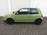 Volkswagen Lupo 1.0 Oxford, TÜV 05/2028 - Volkswagen Lupo: 1.0