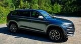 Skoda Kodiaq 2.0 TSI 4x4 Scout - 7 Sitzer/Panoramadach - Skoda in Bonn