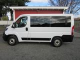 Fiat Ducato Kombi L1H1/9 SITZE/Klima/Kamera/Tempo/AHK - Fiat Ducato: Sitze