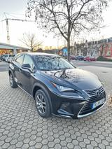 Lexus NX 300h Executive Line  - Lexus: Allradantrieb