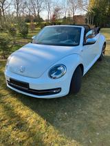 Volkswagen VW Beetle ALLSTAR  Cabriolet  Automatik  K... - Volkswagen Beetle ALLSTAR mit Benzin-Antrieb