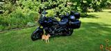 Harley-Davidson Pan America RA1250 Special - Offers matching your search criteria