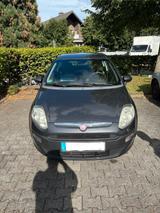 Fiat Punto Evo 1.4 8V Active | 8-fach bereift - Fiat Punto Evo: Active