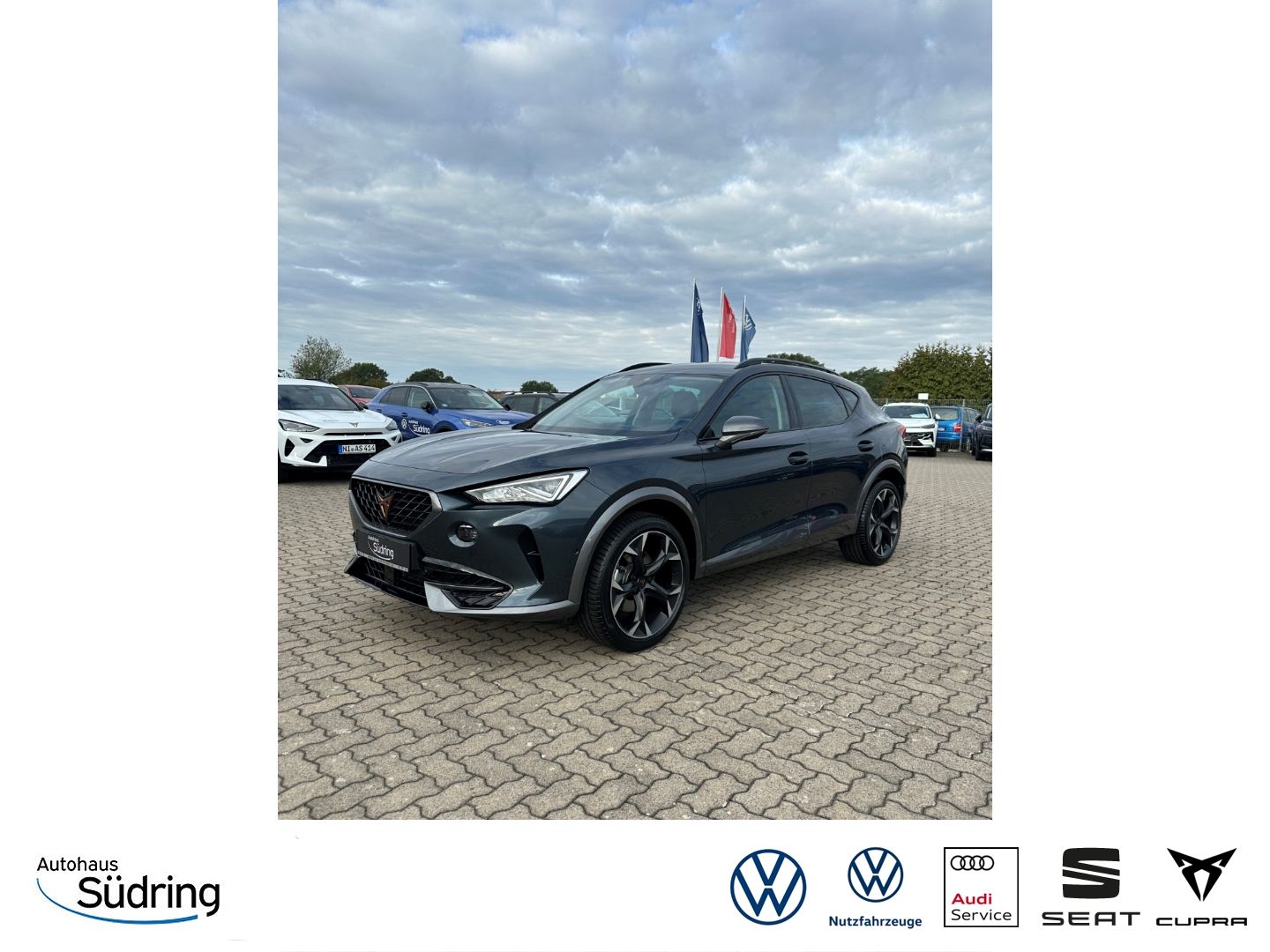 Formentor 1,5 TSI DSG AHK Navi ACC El.Heckklappe