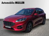 Ford Kuga 1.5 EcoBoost ST-Line*Lenkradhzg.*Winterpake - Ford Kuga Gebrauchtwagen in Leipzig