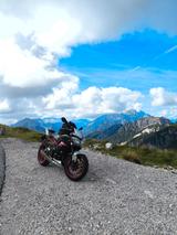 Triumph Street Triple RX  - TRIUMPH STREET TRIPLE RX