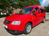 Volkswagen Caddy Life Gewinner Caddy - Volkswagen Caddy: Gewinner