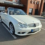 Mercedes-Benz CLK 200 KOMPRESSOR Grand Edition  - Mercedes-Benz aus 2009: Cabrio, Clk