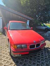 BMW 316i Coupé, gepflegt, Service neu - BMW 316 aus 1995: Coupé, 316i