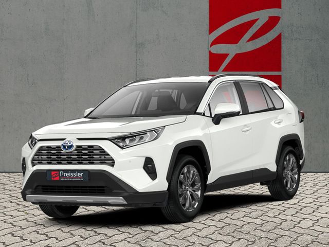 Toyota RAV4 2,5 HYBRID *Team Deutschland*