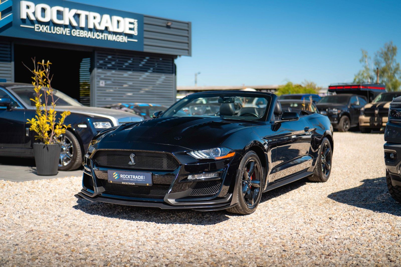 Fahrzeugabbildung Ford Mustang Shelby 500 GT Cabrio Performance PREMIUM