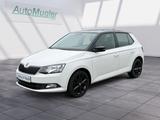Skoda Fabia 1,0 TSI Ambition-SH-Alu-Klima - Skoda Fabia bis 10.000 Euro