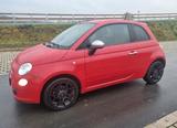 Fiat 500 1.2 8V Pop Star Pop Star - Fiat 500 Gebrauchtwagen in Münster