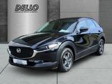 Mazda CX-30 SelectionM Hybrid SKYACTIVE-G HUD Navi LED - schwarze Mazda CX-30