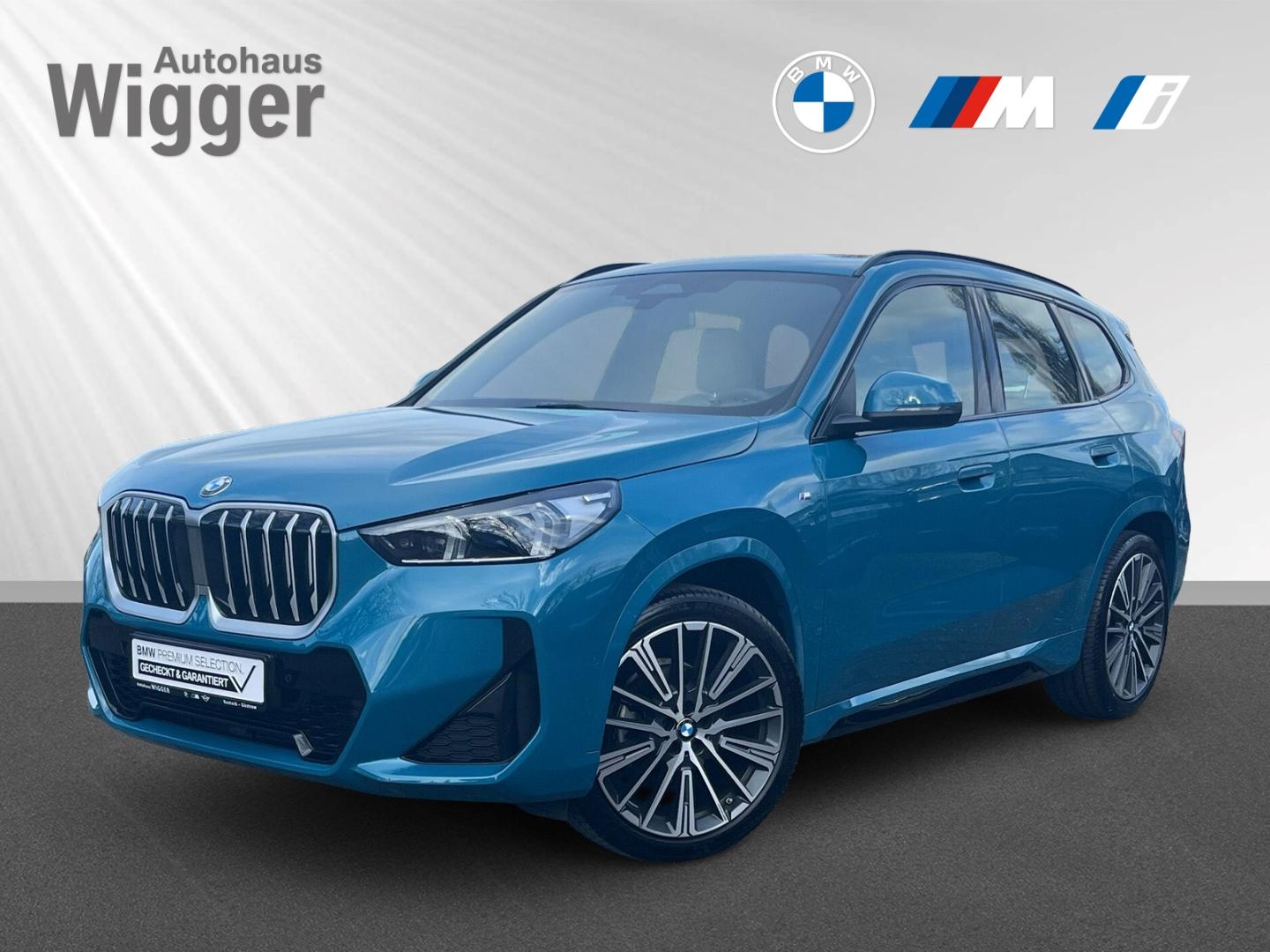 BMW X1 20d M Sport xDrive/AHK/Navi/HarmanKardon