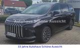 DFSK Forthing 9 HEV 1.5 Turbo/Buissnes Clas/Vollhybri - DFSK Forthing 9 Gebrauchtwagen