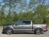 Ford www.terpautos.nl - graue Ford F 150