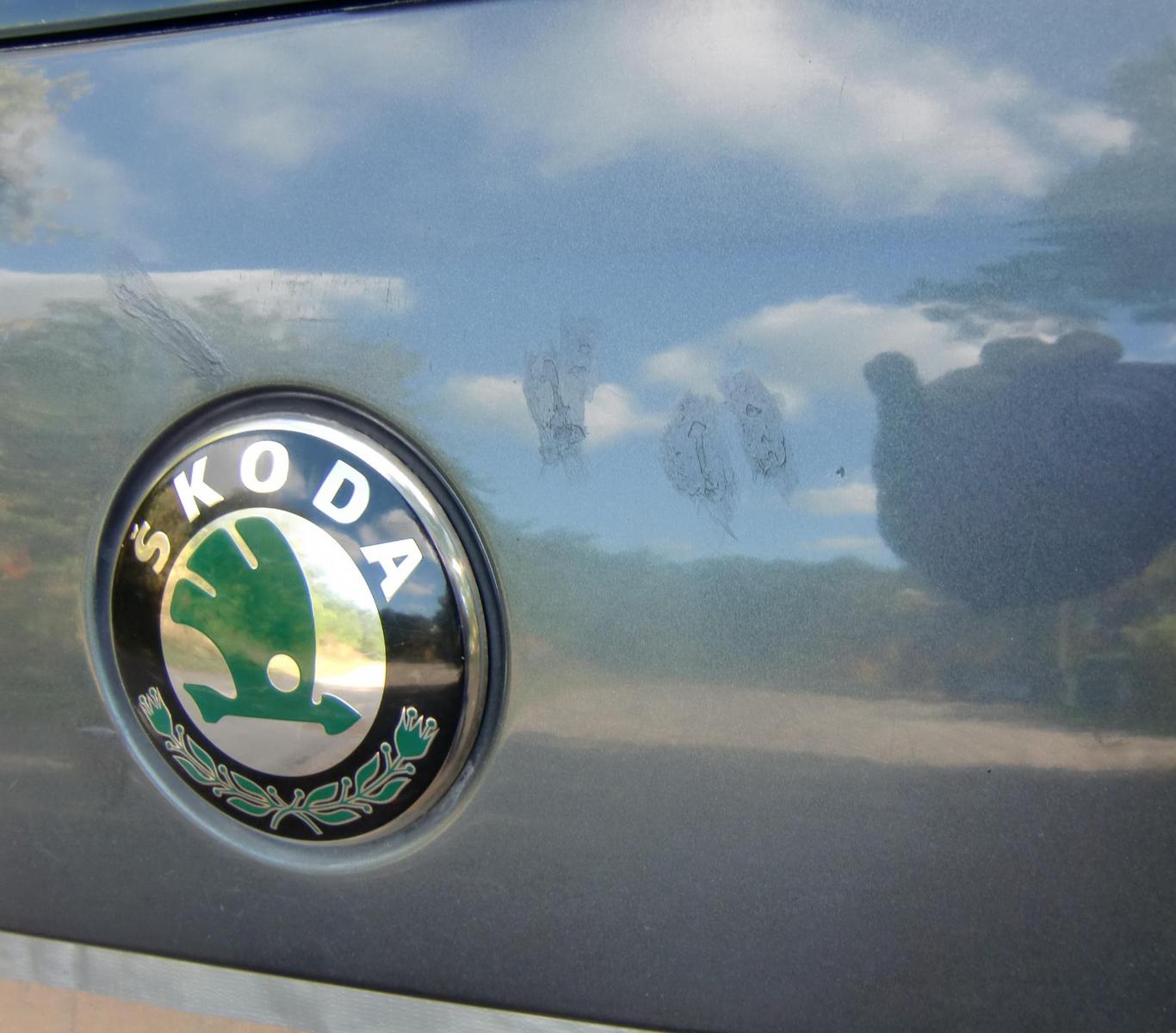 Skoda Fabia 2010 — photo 14